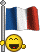 bandera-francia2