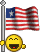 bandera-usa2